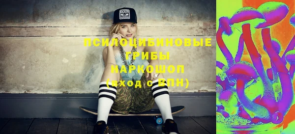 МДПВ Абинск