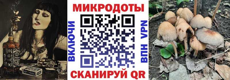 как найти наркотики  Кудымкар  Псилоцибиновые грибы Magic Shrooms 