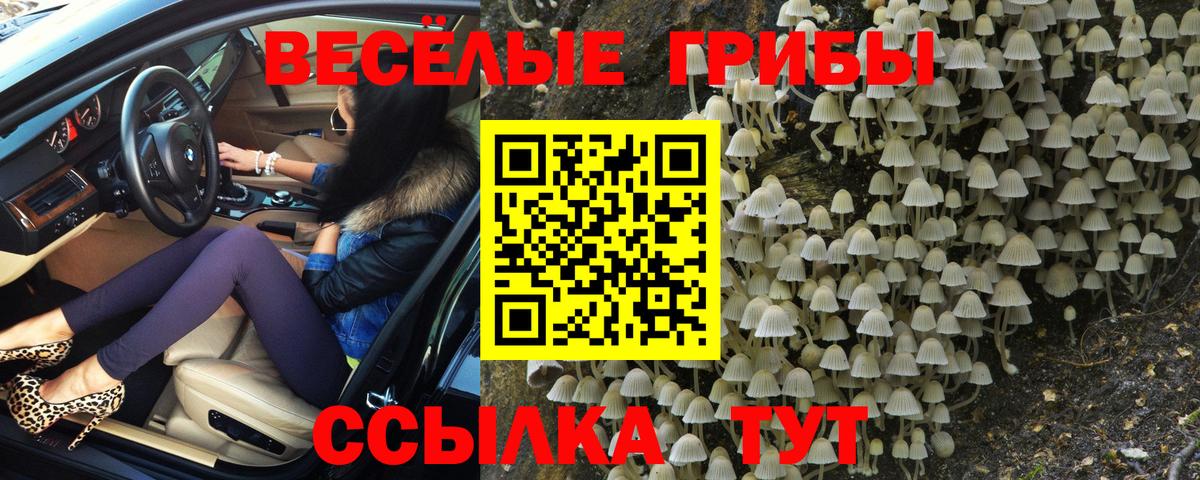 Псилоцибиновые грибы мухоморы Кудымкар
